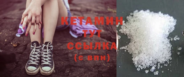 шишки Корсаков