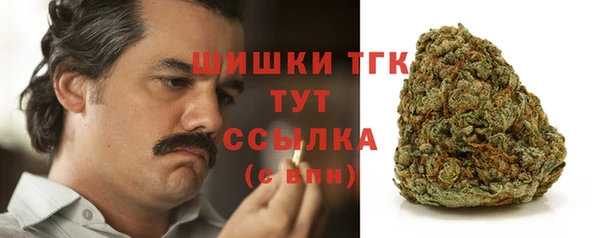Альфа ПВП Костерёво