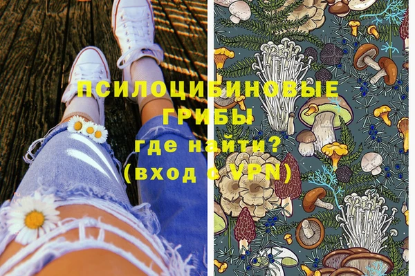 шишки Корсаков