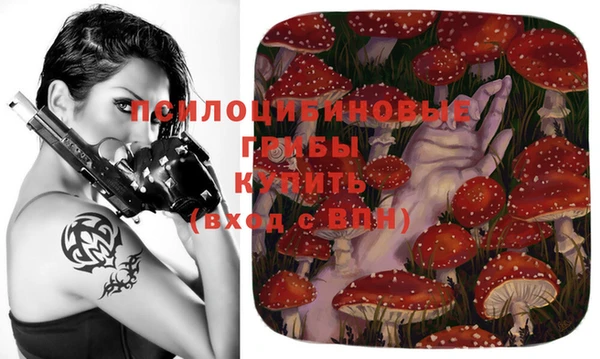 мет Нестеровская