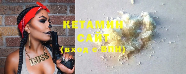 шишки Корсаков