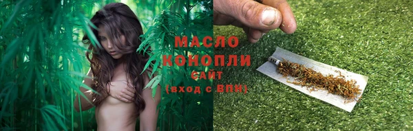 шишки Корсаков