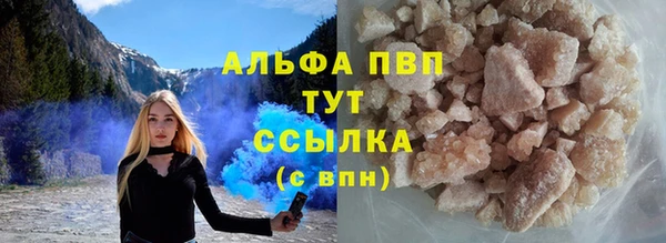 СК Калининец