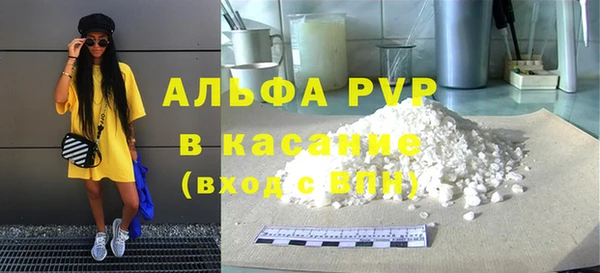 шишки Корсаков