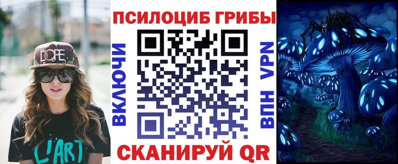 кракен сайт  Омск  Псилоцибиновые грибы Psilocybine cubensis 