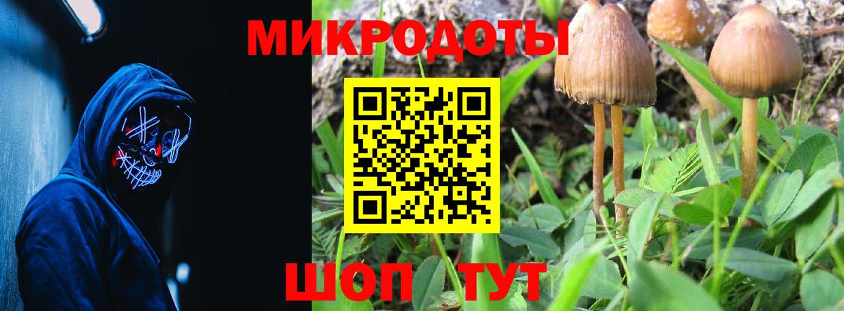Псилоцибиновые грибы Magic Shrooms Омск
