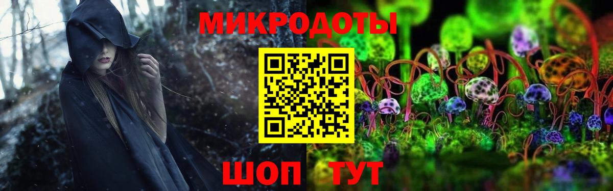 Псилоцибиновые грибы Psilocybine cubensis  Вход с VPN  Омск 
